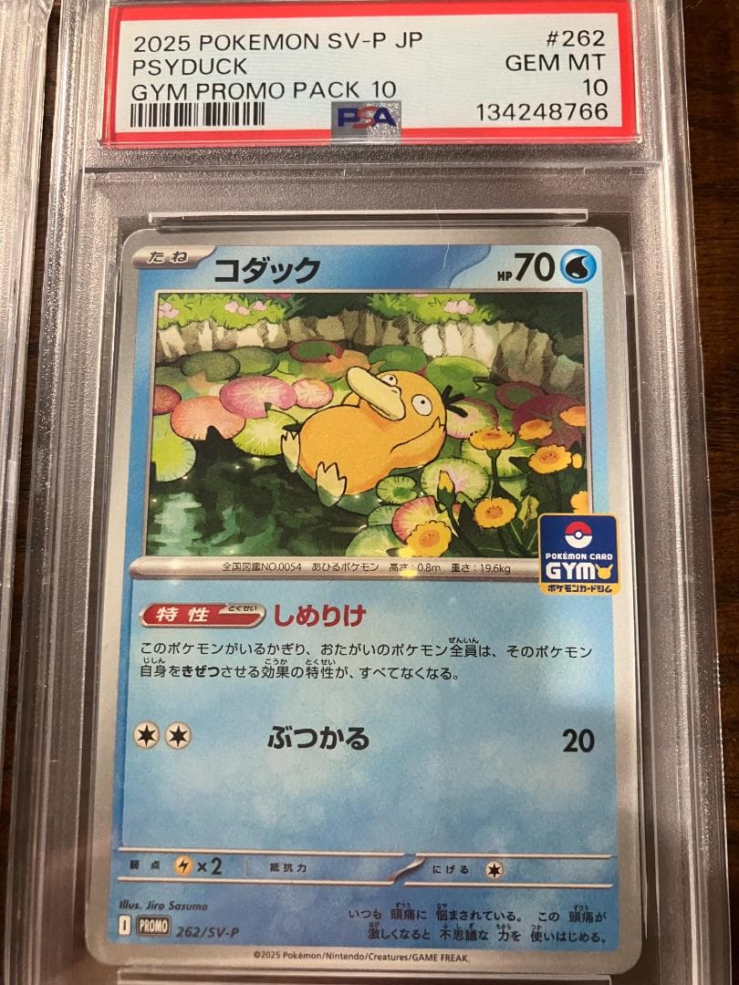 【PSA10】ポケモン5連番　コダック ジムプロモ しめりけ 262/SV-P