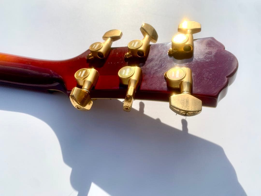 希少 入手困難「YAMAHA VG-STANDARD ASKAモデル」