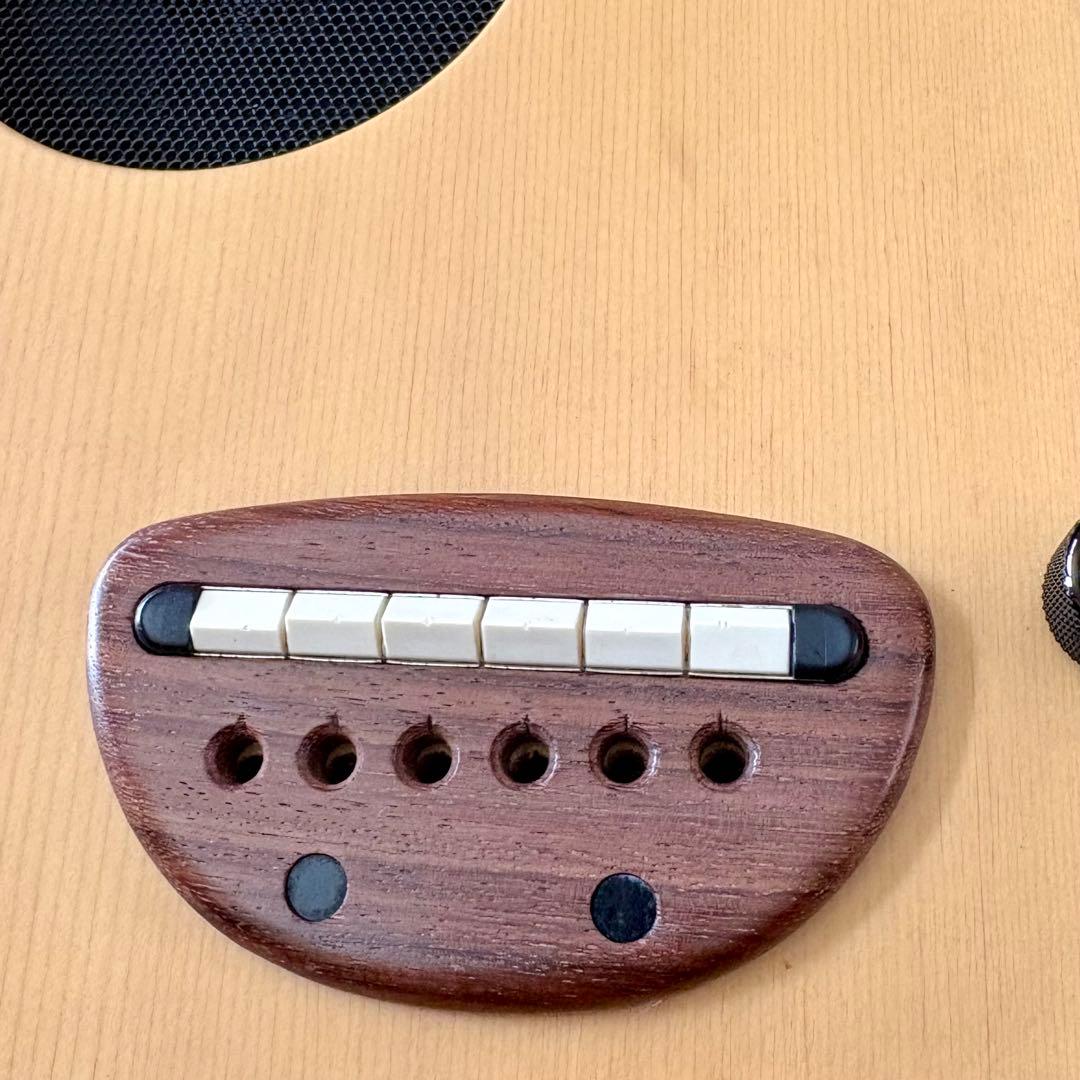 FERNANDES ZO-3A エレアコ ピエゾPU ソフトケース付きレア