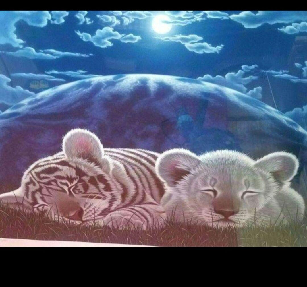 シムシメール.ピースフルナイトスリープ　リトグラフ　ED366/395です