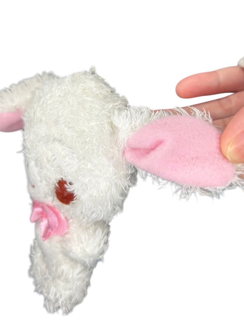 シュガーバニーズ　しろうさ　マスコット　2005年　希少