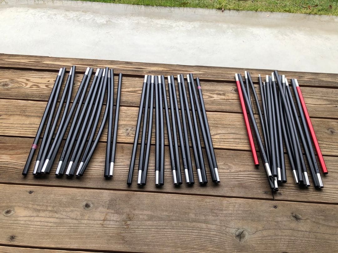 オガワ　ヴィガス2