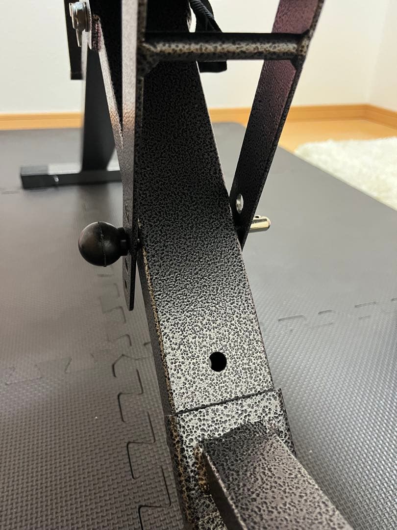 GOGOGUMP トレーニングベンチ 黒/赤 ダンベル、マット付き