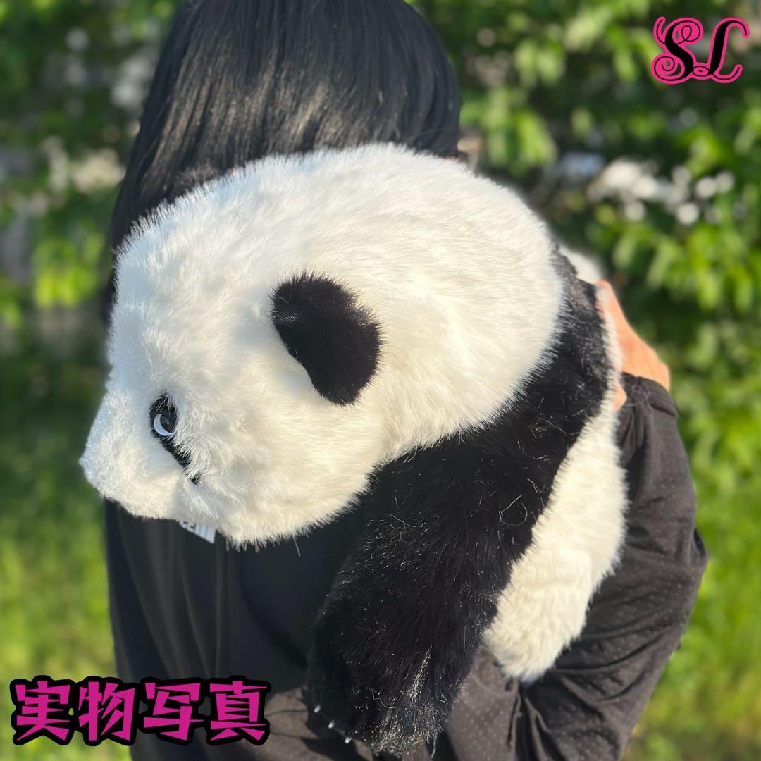 パンダ　リアルで癒される！5ヶ月齢パンダ ぬいぐるみ登場 ファファ まるで本物！