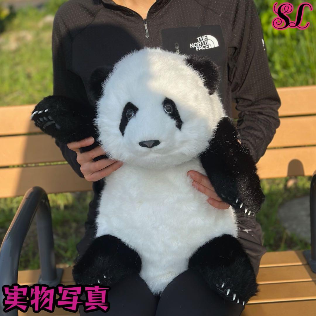 パンダ　リアルで癒される！5ヶ月齢パンダ ぬいぐるみ登場 ファファ まるで本物！