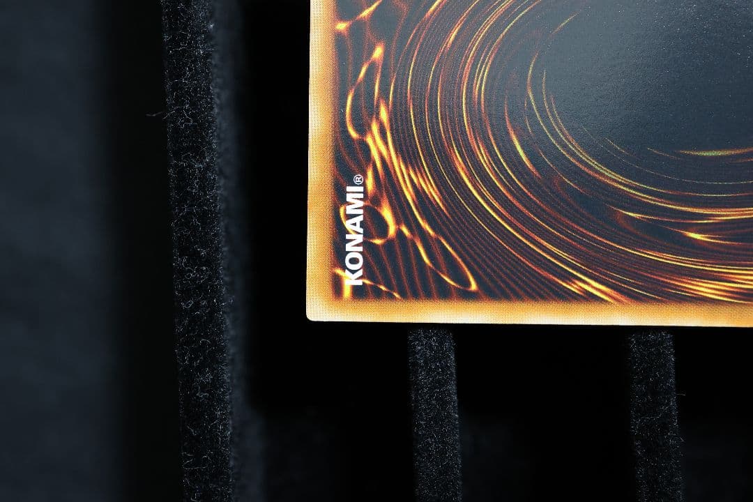 真紅眼の闇竜 レッドアイズ・ダークネスドラゴン 遊戯王 W65-JP001