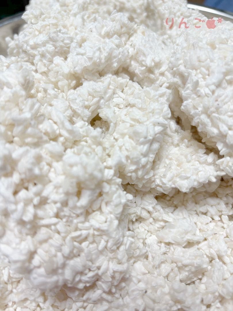 【 ぱぴ絵さま専用 】