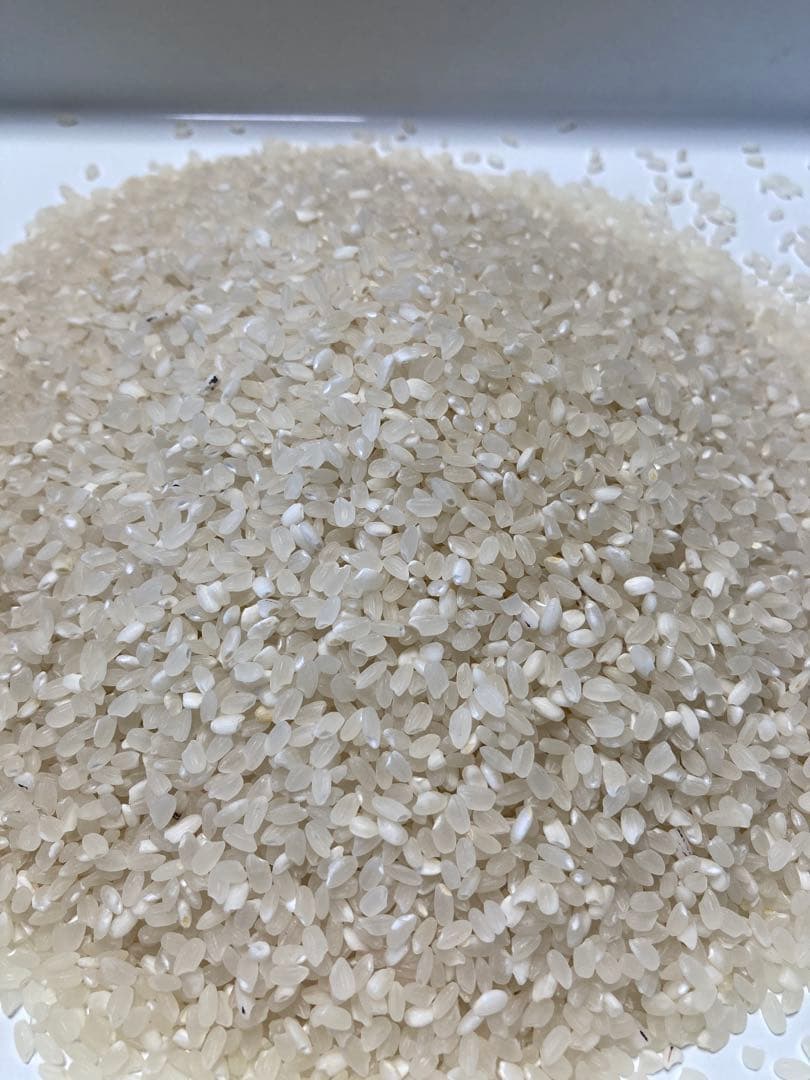 【 ぱぴ絵さま専用 】