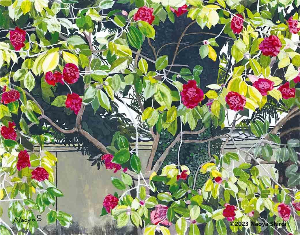 水彩画　ジクレー版画「早春のヤブツバキ」