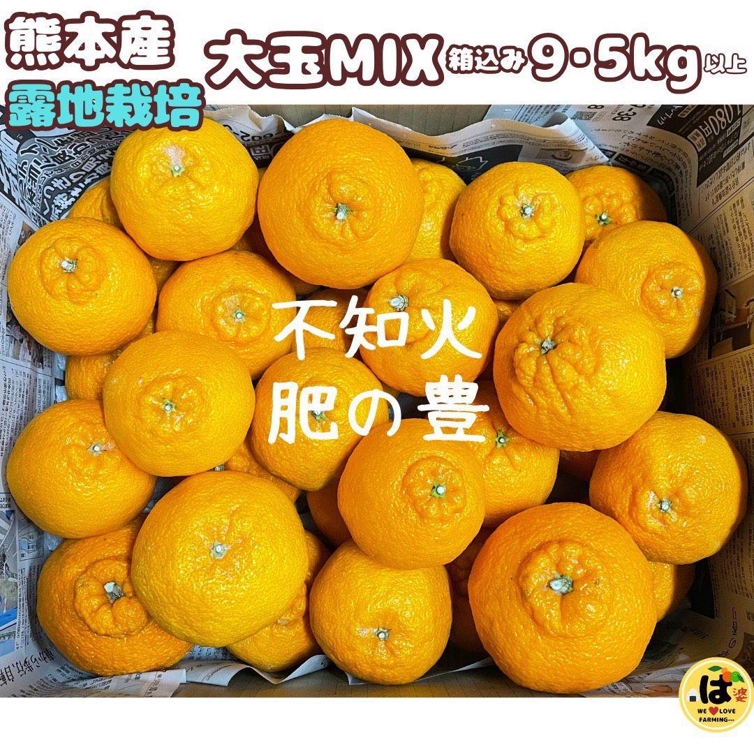 ※確認用　大玉MIX箱込み9.5kg以上【露地栽培　不知火　デコポン　肥の豊】