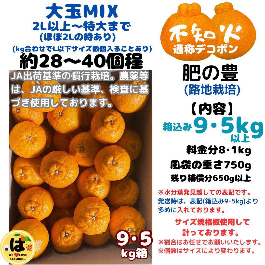 ※確認用　大玉MIX箱込み9.5kg以上【露地栽培　不知火　デコポン　肥の豊】