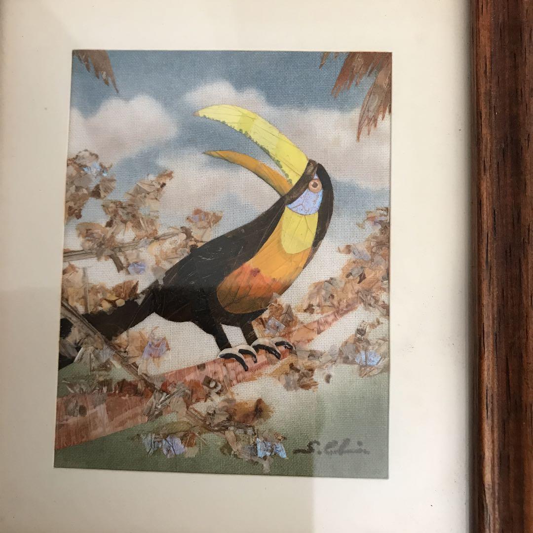 Shuya Chiba (千葉修也)  蝶画Toucan Bird (オオハシ)