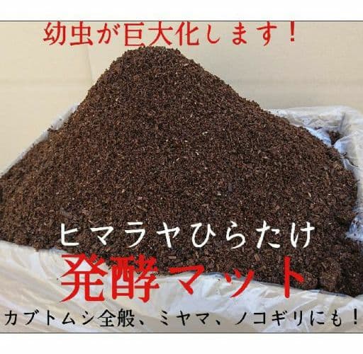 送料無料！カブトムシ幼虫の餌！栄養価抜群なので大きくなります！クワガタにも使える