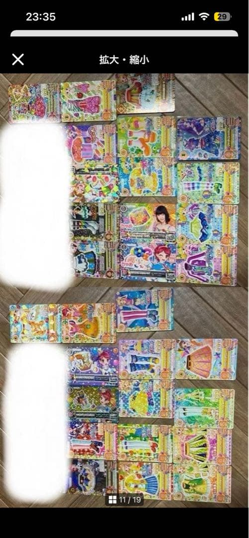 シャムタビー✨