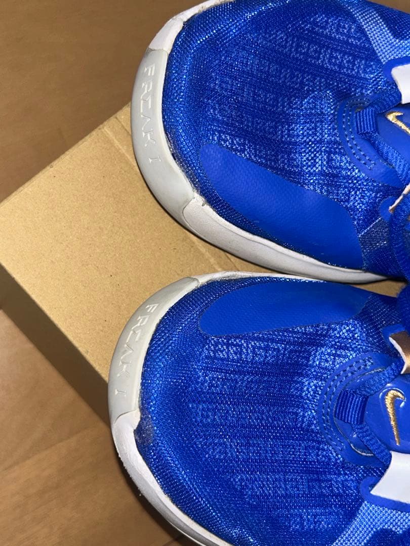 Zoom freak 1バッシュ 希少