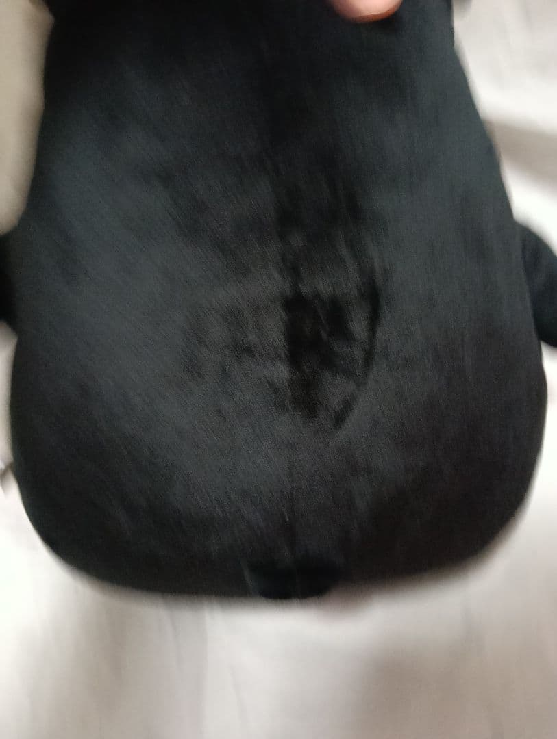 くまモン　約40cm　ぬいぐるみ　surprise　熊本県