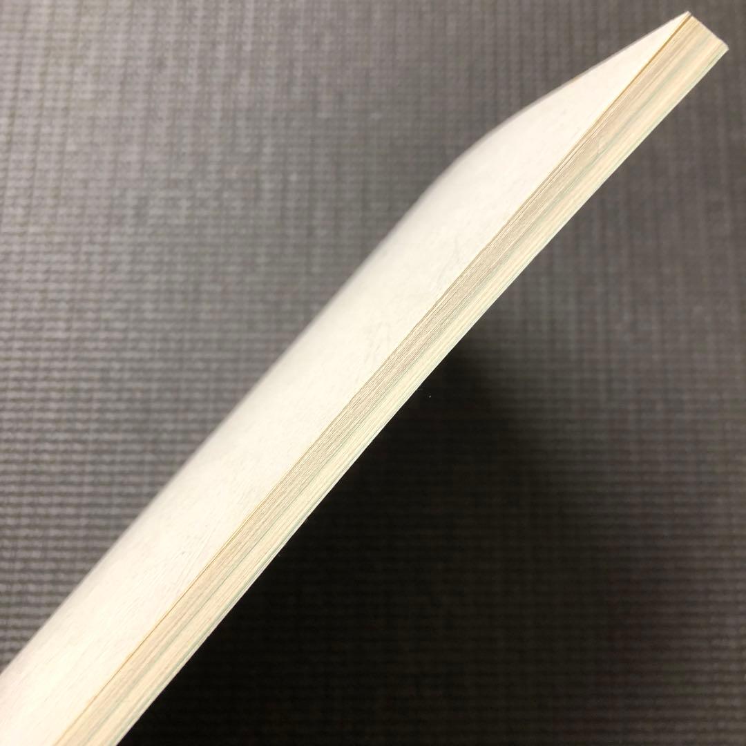 モノノ怪 アニメ 第8話 台本 ノイタミナ/怪 ayakashi/化猫