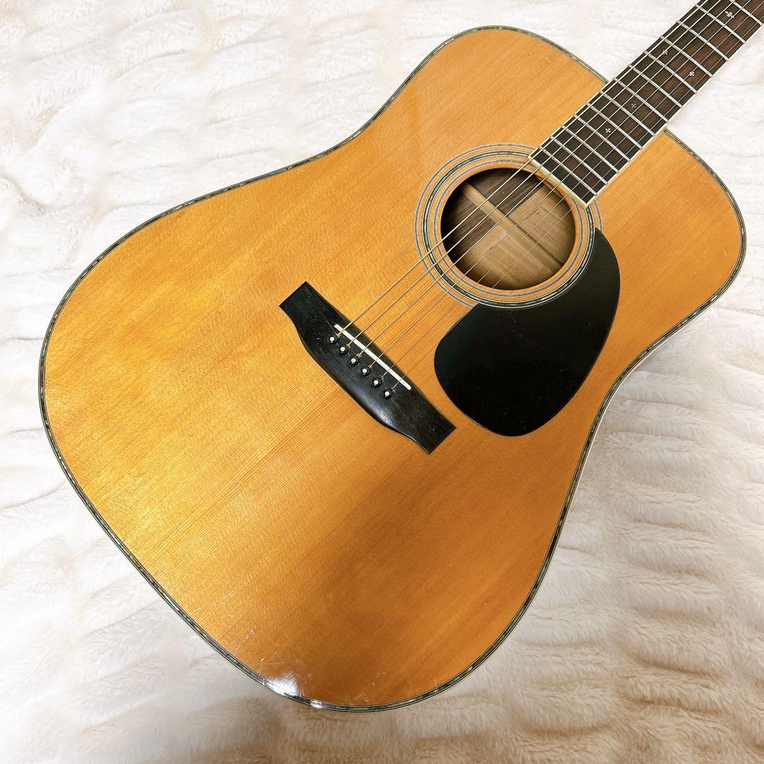 MORRIS TF W-50 ハカランダモデル