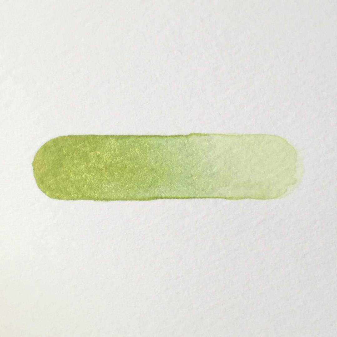 画材 Green gold chiffon