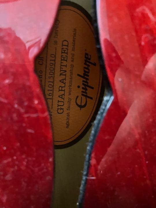 エピフォンカジノと専用ハードケース（鍵付き）