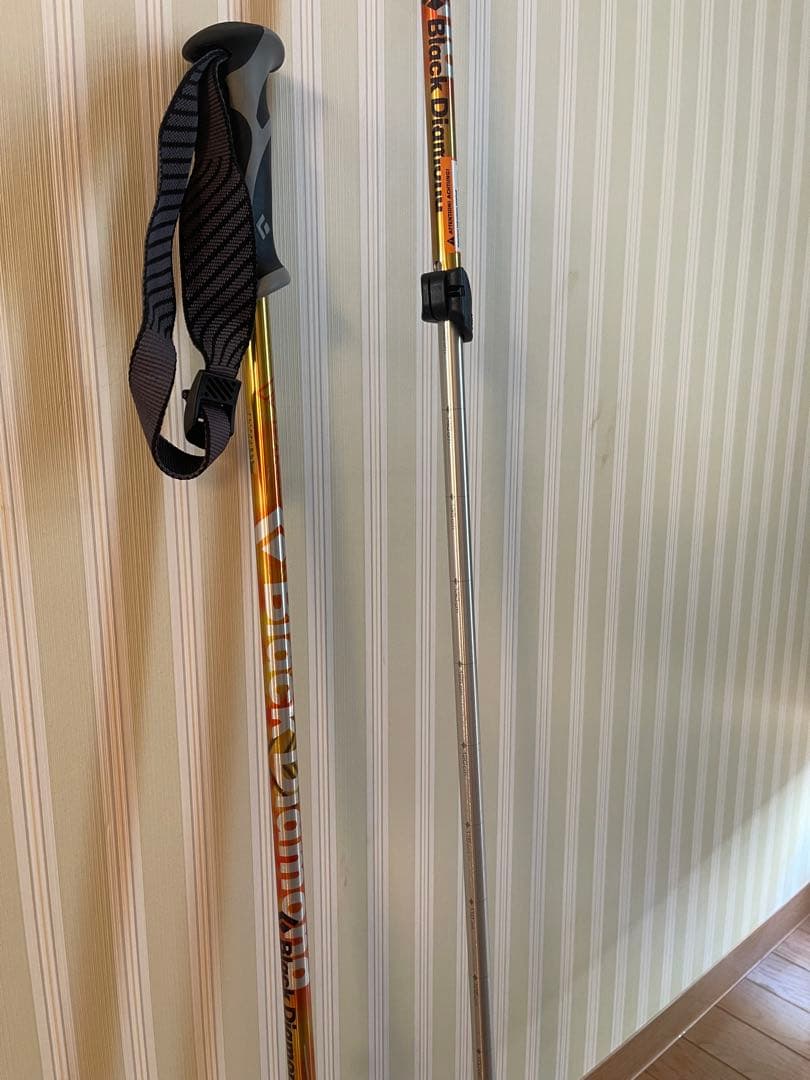  スキー用ポール ゴールド
