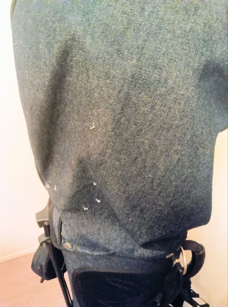 evisuキャディバック