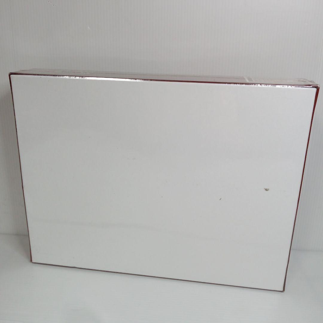 希少★レア 新品 シュリンク梱包 AKB48 劇場壁写ジグゾーパズル 2014