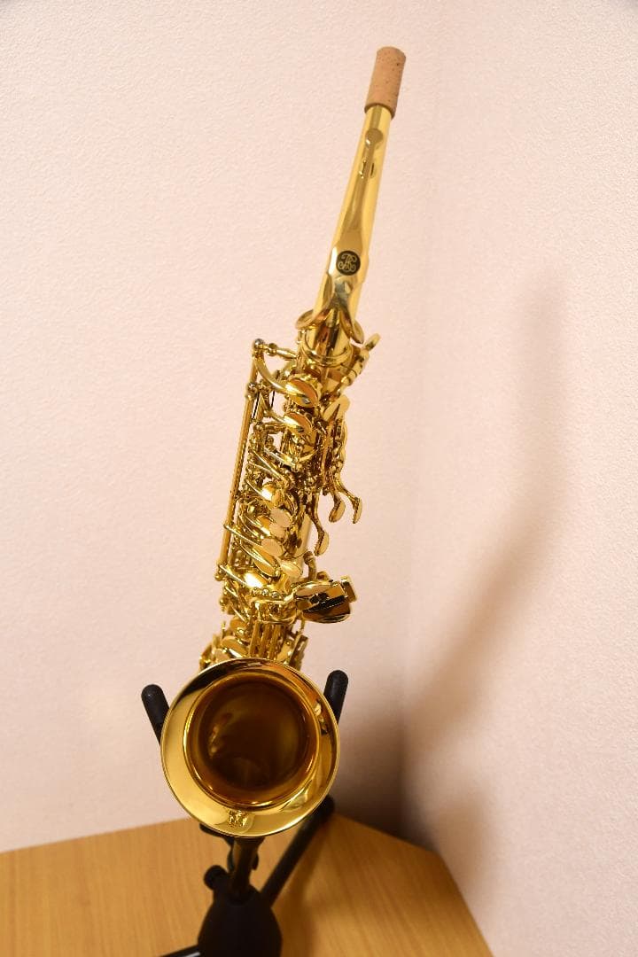 【新品・未使用品】Buffet Crampon アルトサックス Prodige