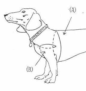 大形犬用盲犬杖