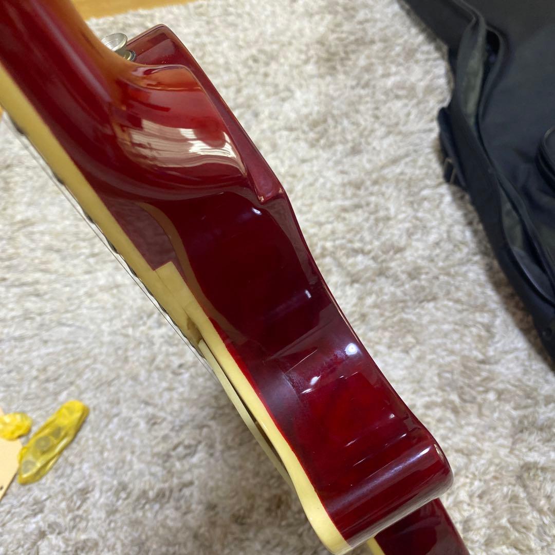 レスポール　エレキギター ハムバッカー　バッカス