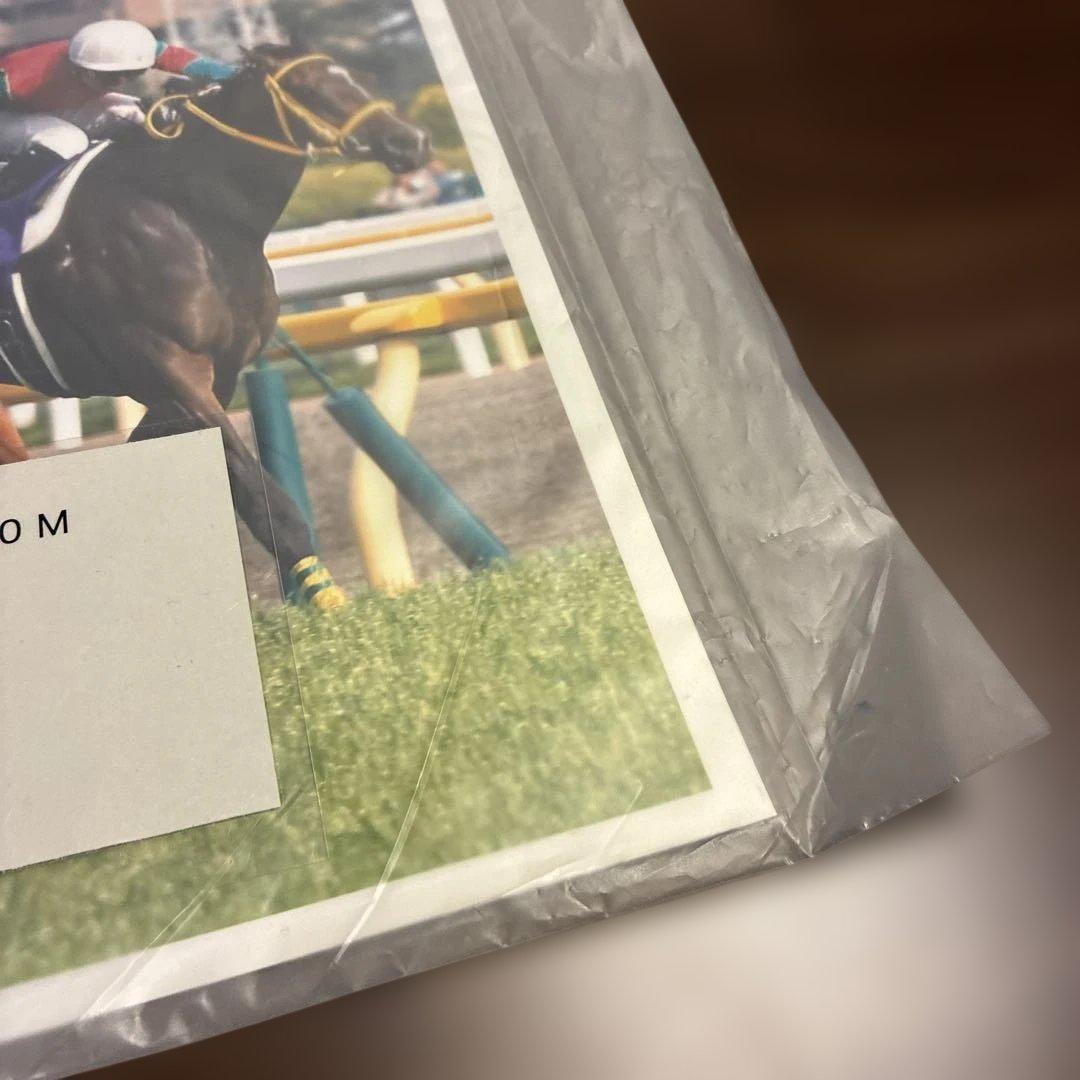 第8回ヴィクトリアマイル 優勝馬ヴィルシーナ