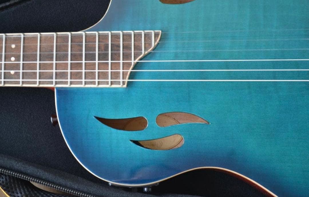 【ほぼ新品】Ortega RTPDLX-FMA TOURPLAYER エレガット