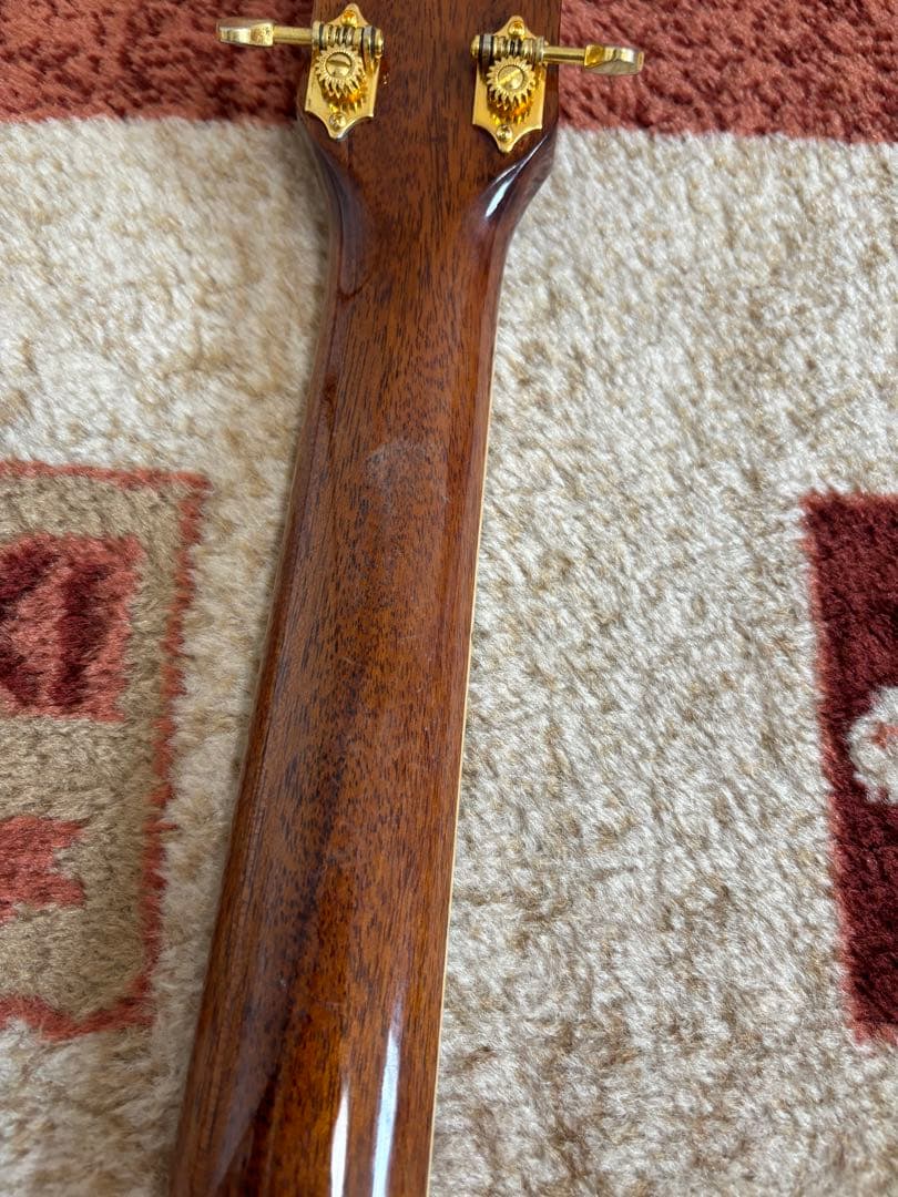 JAMES JD900 NA オール単板ギター