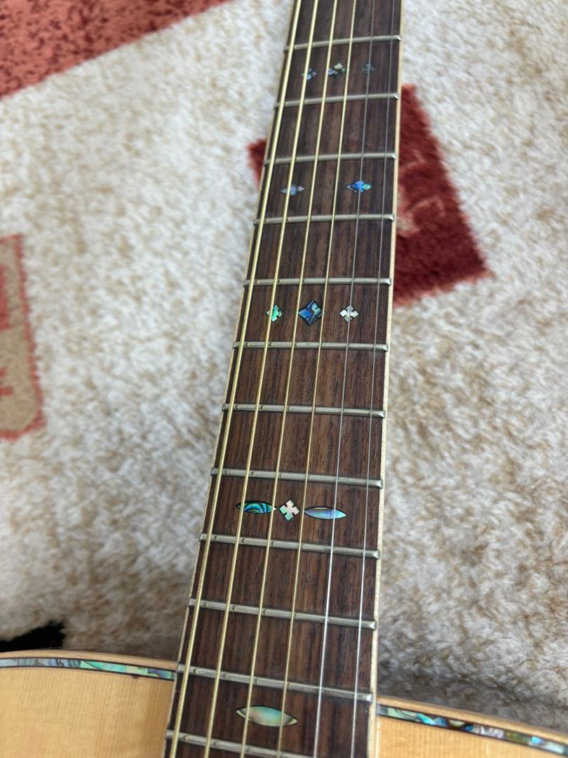 JAMES JD900 NA オール単板ギター