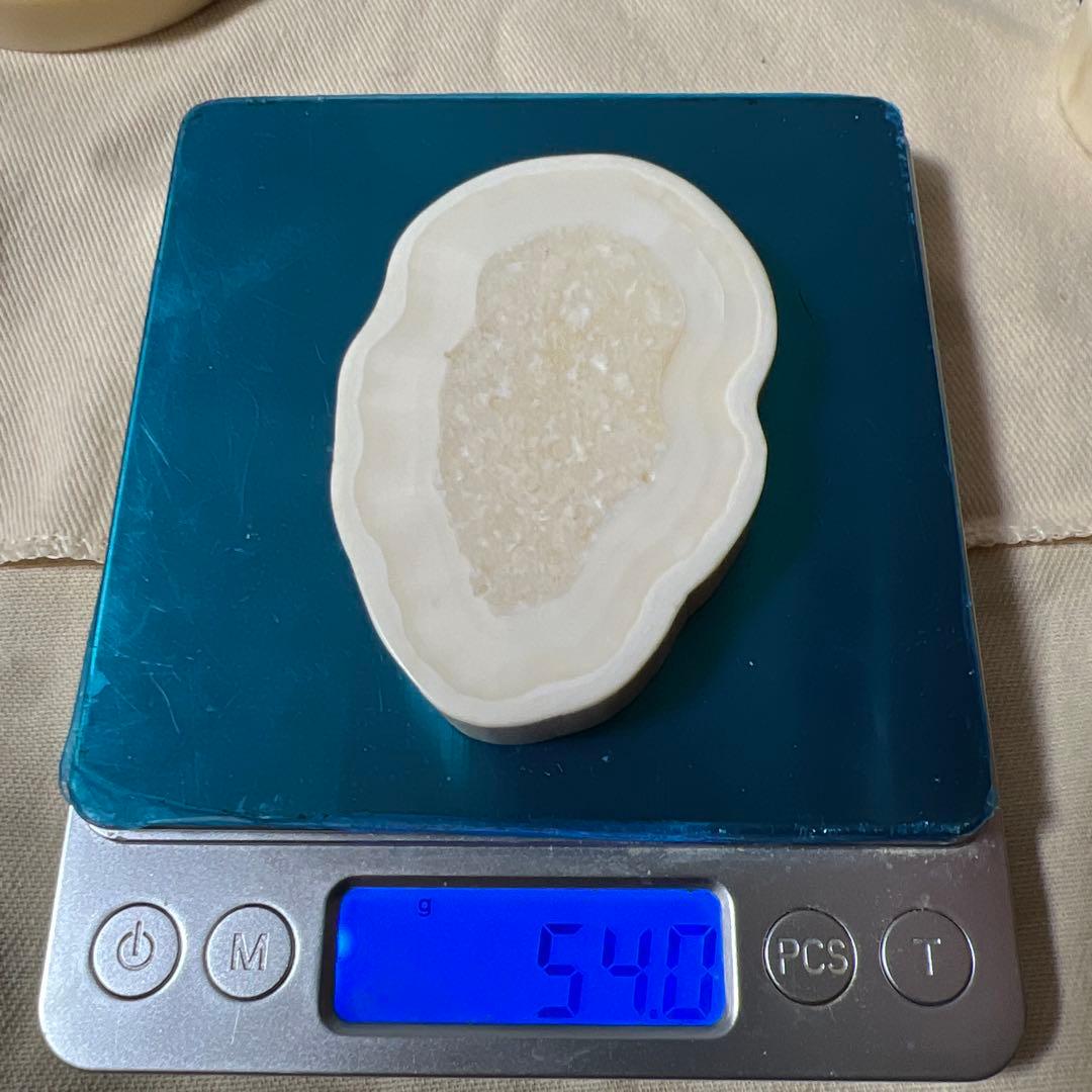 堤げ物 輪切り セイウチ 根付 54g 牙 饅頭