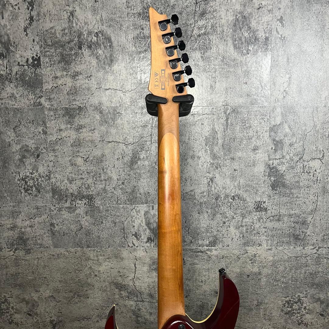 Ibanez RG421HPAM-ABLケース シールド スタンド ピック付き