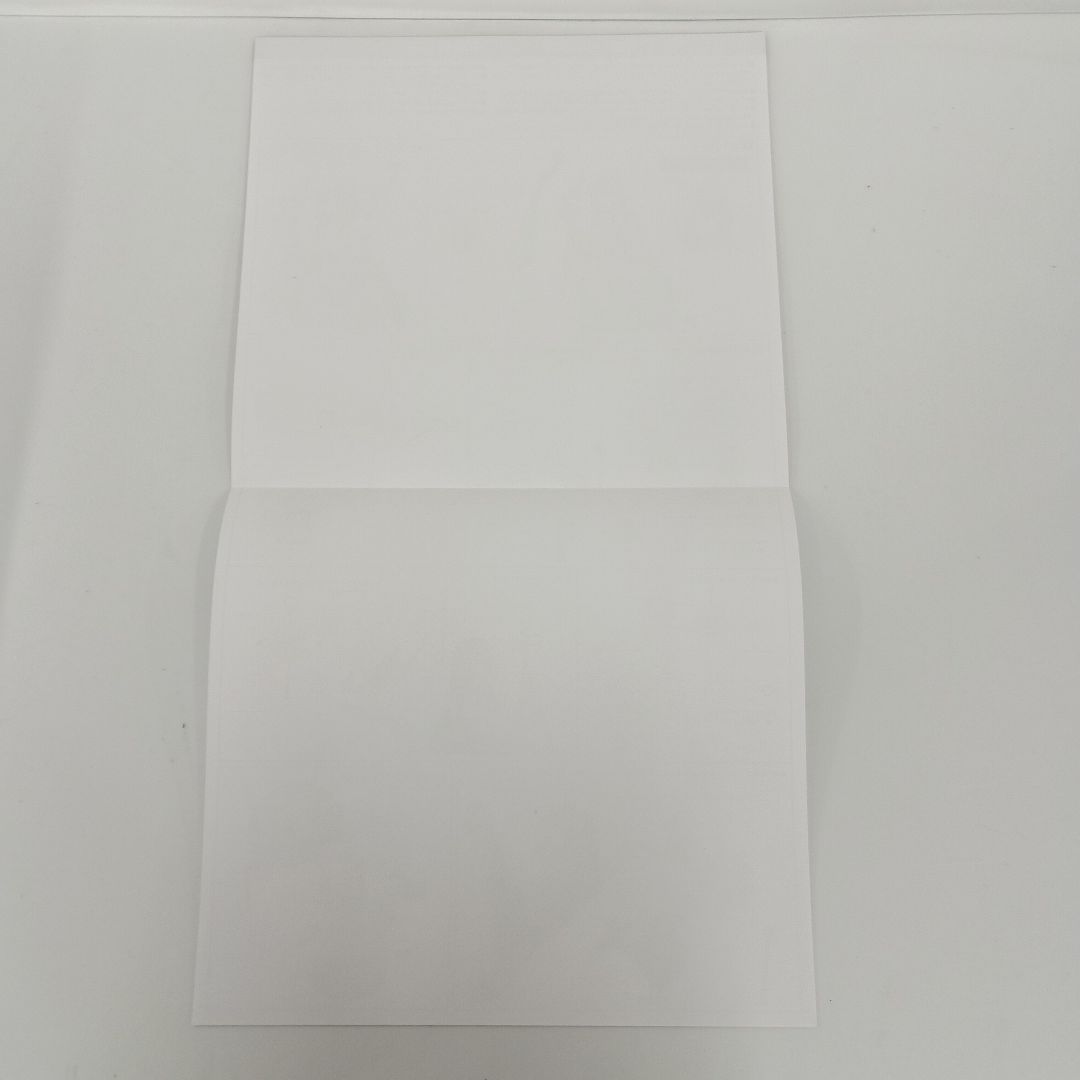 大鳳 春の暁に鳳歌うVer. 「アズールレーン」 1/7