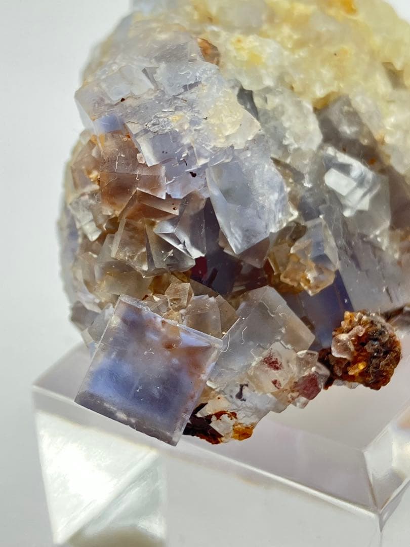 バ*チ様 フローライト　ブラックフォレスト　黒い森