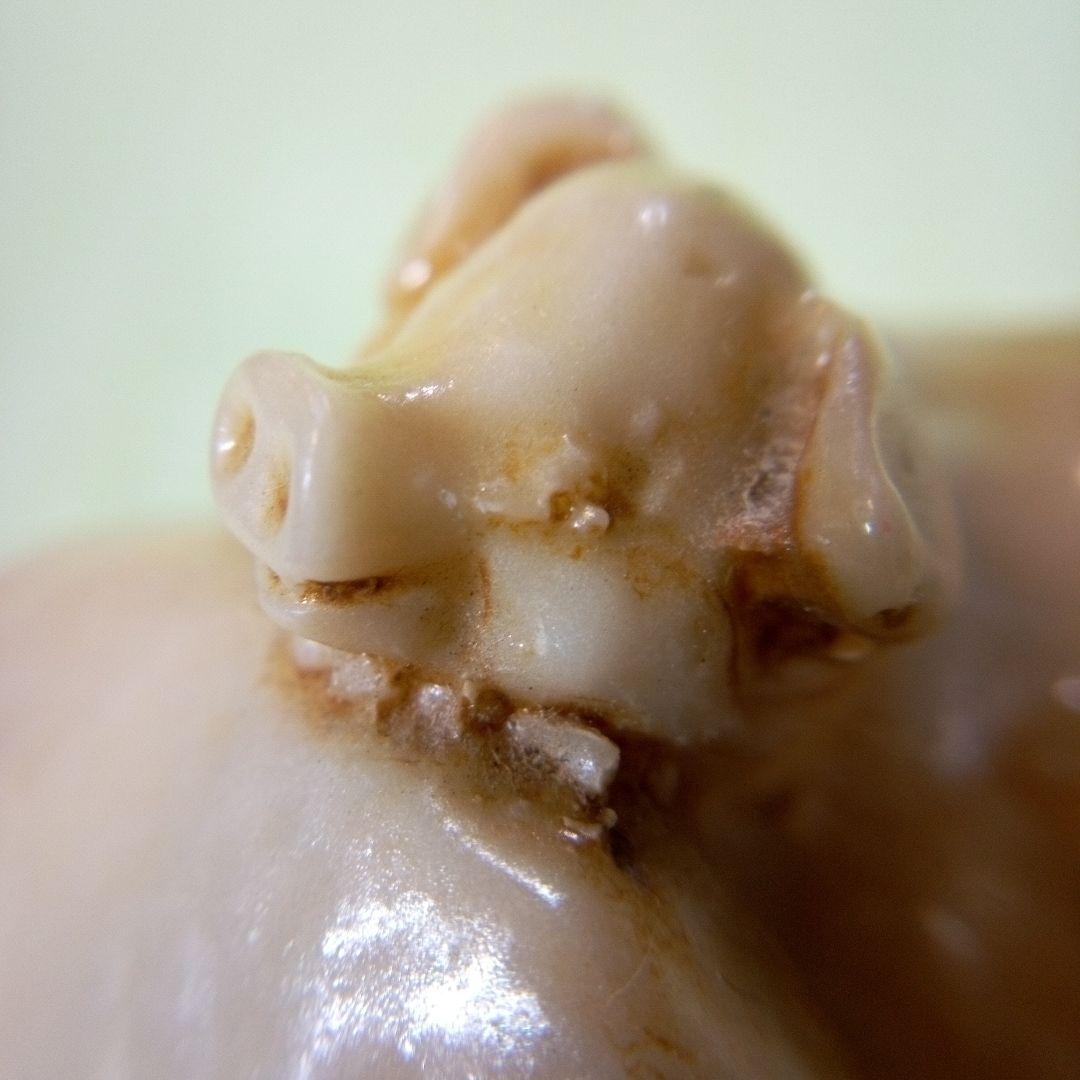 豚の置物　二匹の豚　フィギュア　オブジェ　ディスプレイ　アンティーク　レトロ