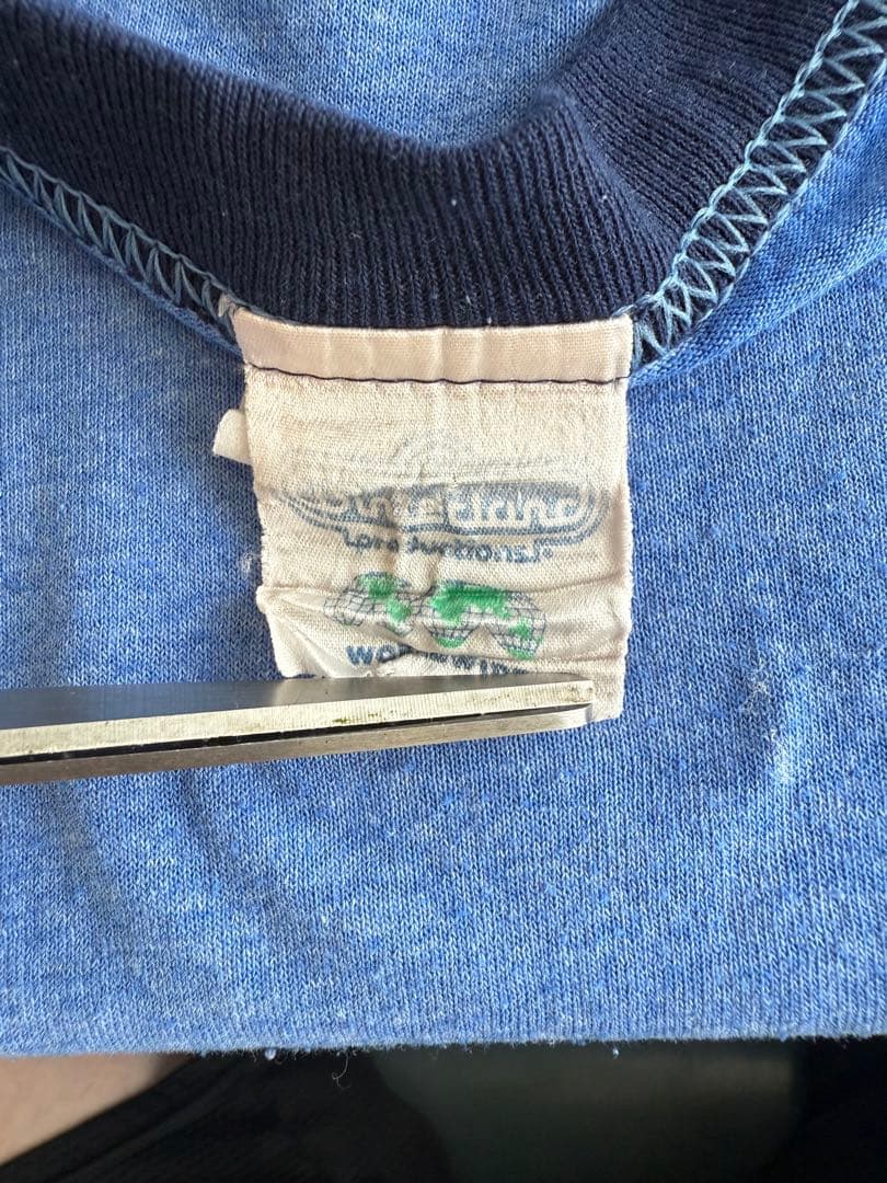 【希少】90s Beastie BoysリンガーT (ABA) USA製