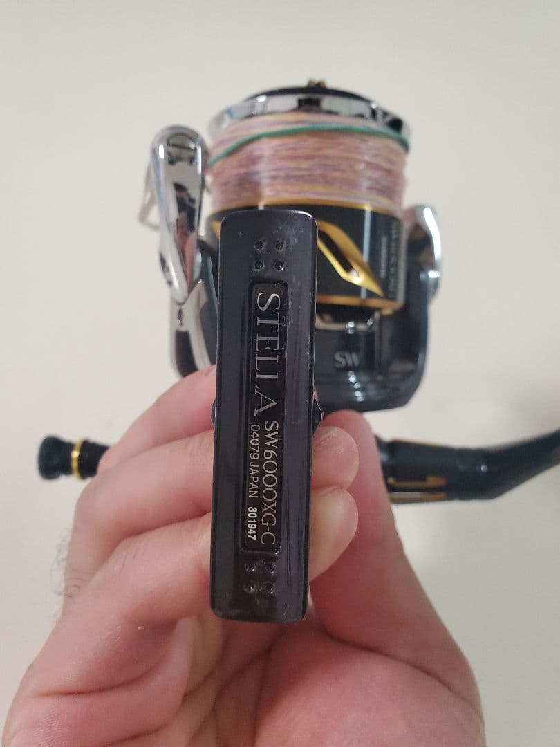 最高値下げ本日まで20ステラSW 6000XG