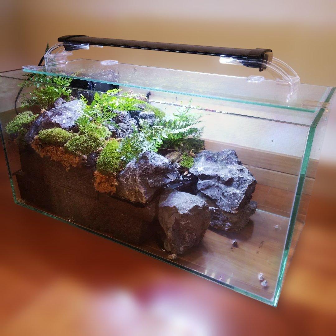 【受注生産】滝の流れるアクアテラリウム　イモリウム　苔テラリウム　テラリウム