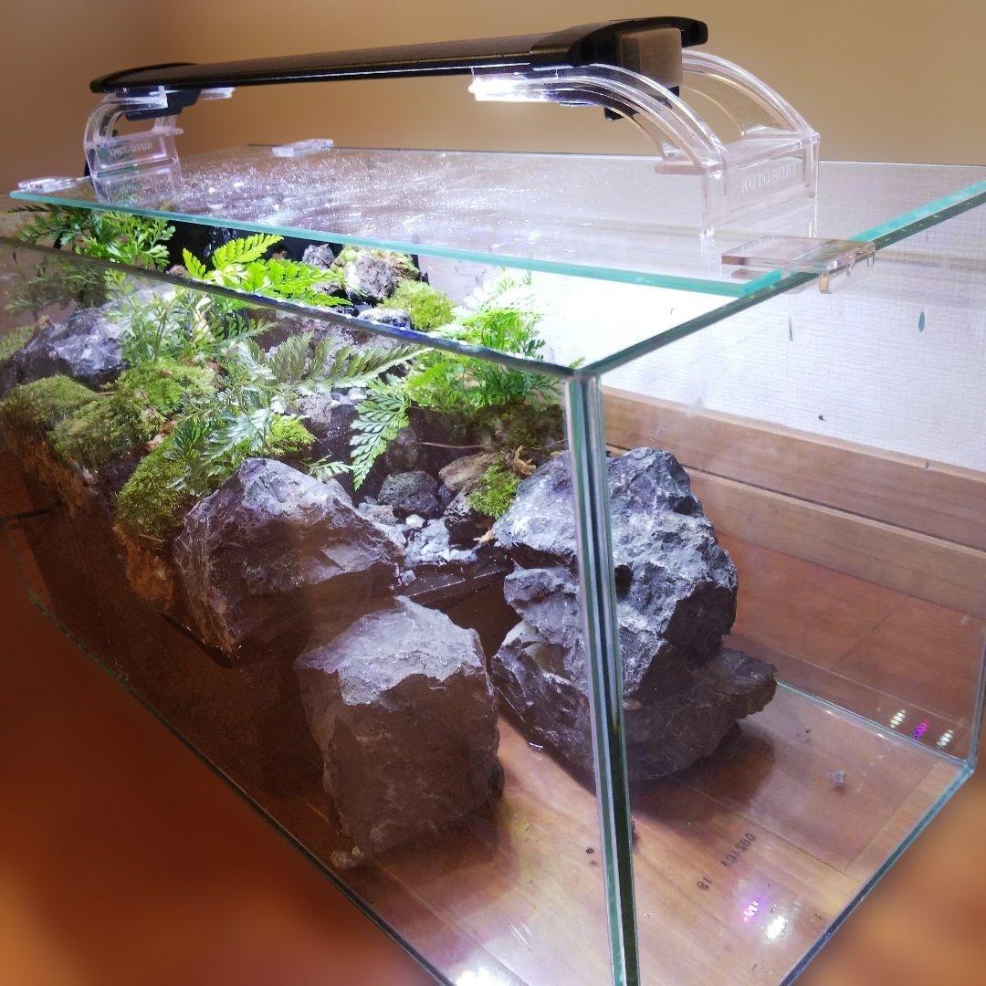 【受注生産】滝の流れるアクアテラリウム　イモリウム　苔テラリウム　テラリウム