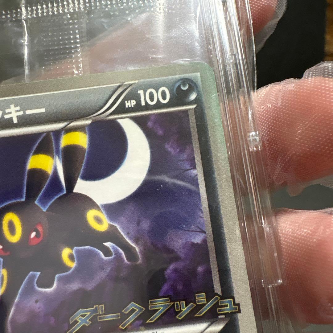 ブラッキー ダークラッシュ プロモ 未開封