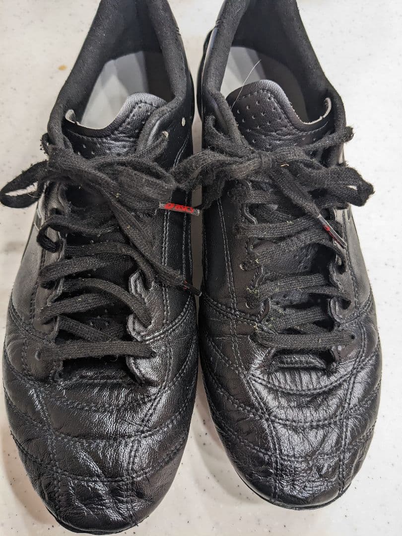 【25.0】asics DSライトx-fly4 JAPANブラック