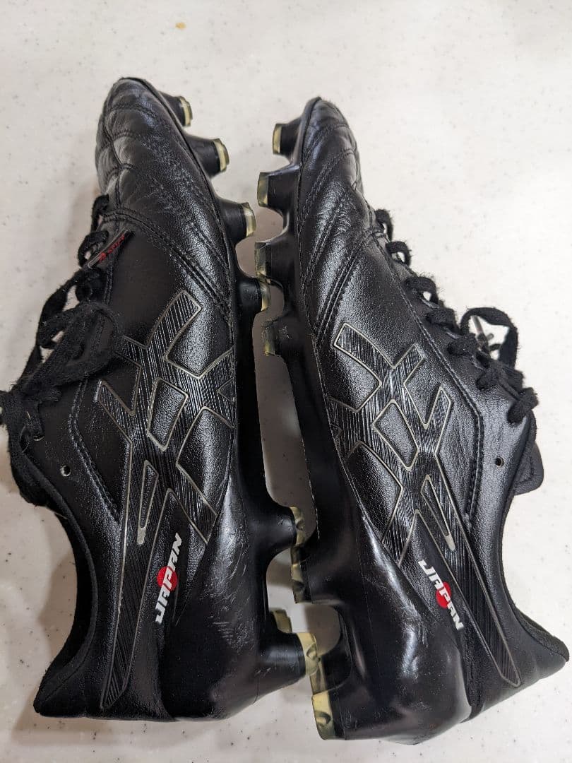 【25.0】asics DSライトx-fly4 JAPANブラック