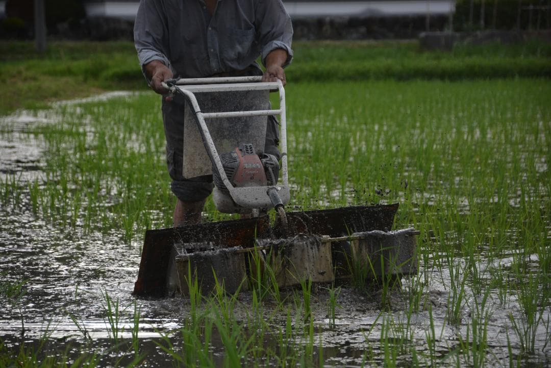 イセヒカリ10kg玄米　たけ爺ブランド栽培期間中無化学肥料・栽培期間中無農薬栽培