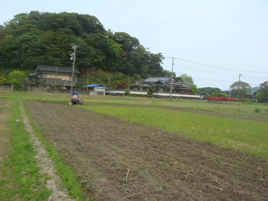 イセヒカリ10kg玄米　たけ爺ブランド栽培期間中無化学肥料・栽培期間中無農薬栽培