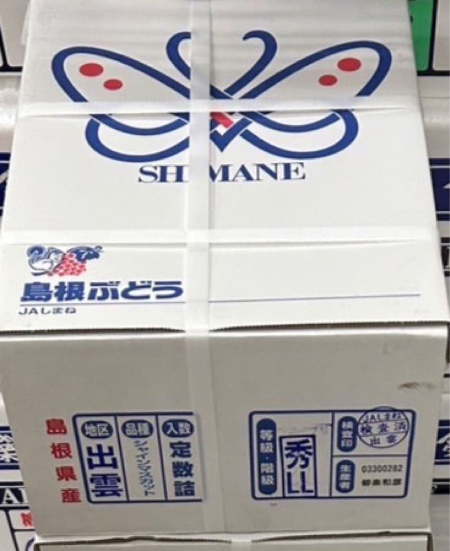 71【島根県産】シャインマスカット約2キロ(3〜5房)×2