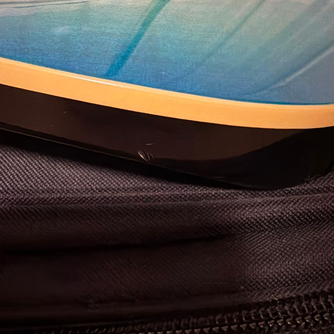 FGN フジゲン　弦2セット　ギターソフトケース付